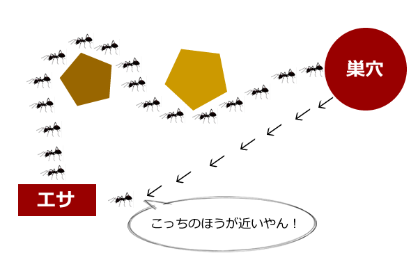 蟻